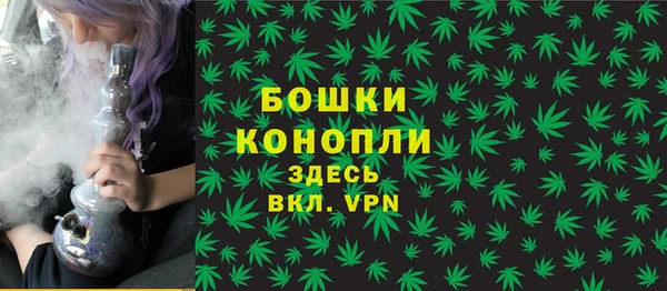 тгк Медвежьегорск