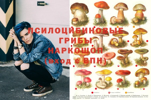 тгк Медвежьегорск