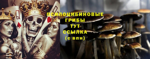 герыч Медногорск